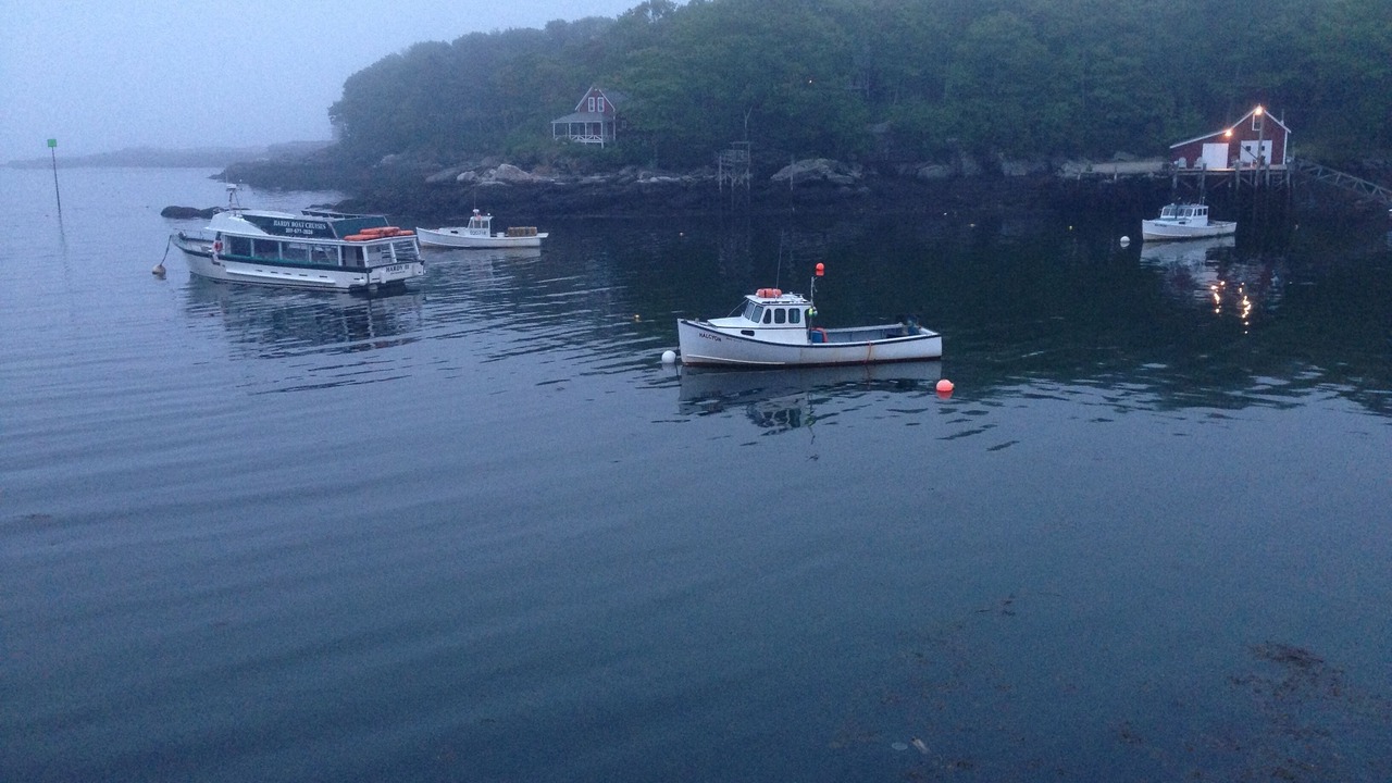 Photo of Others in Pemaquid Point