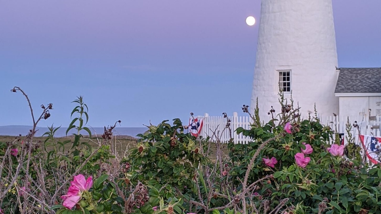Photo of Outdoor in Pemaquid Point