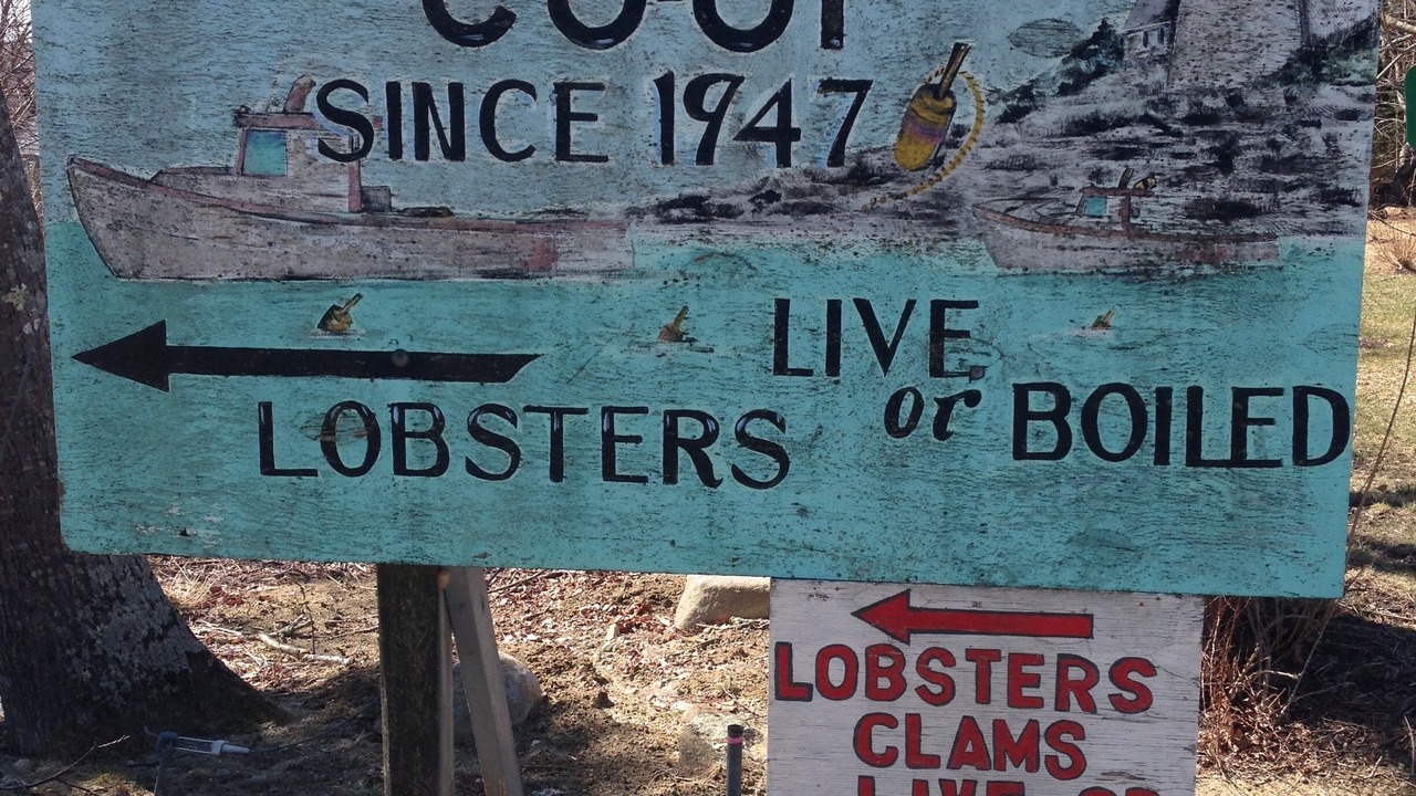 Photo of Others in Pemaquid Point