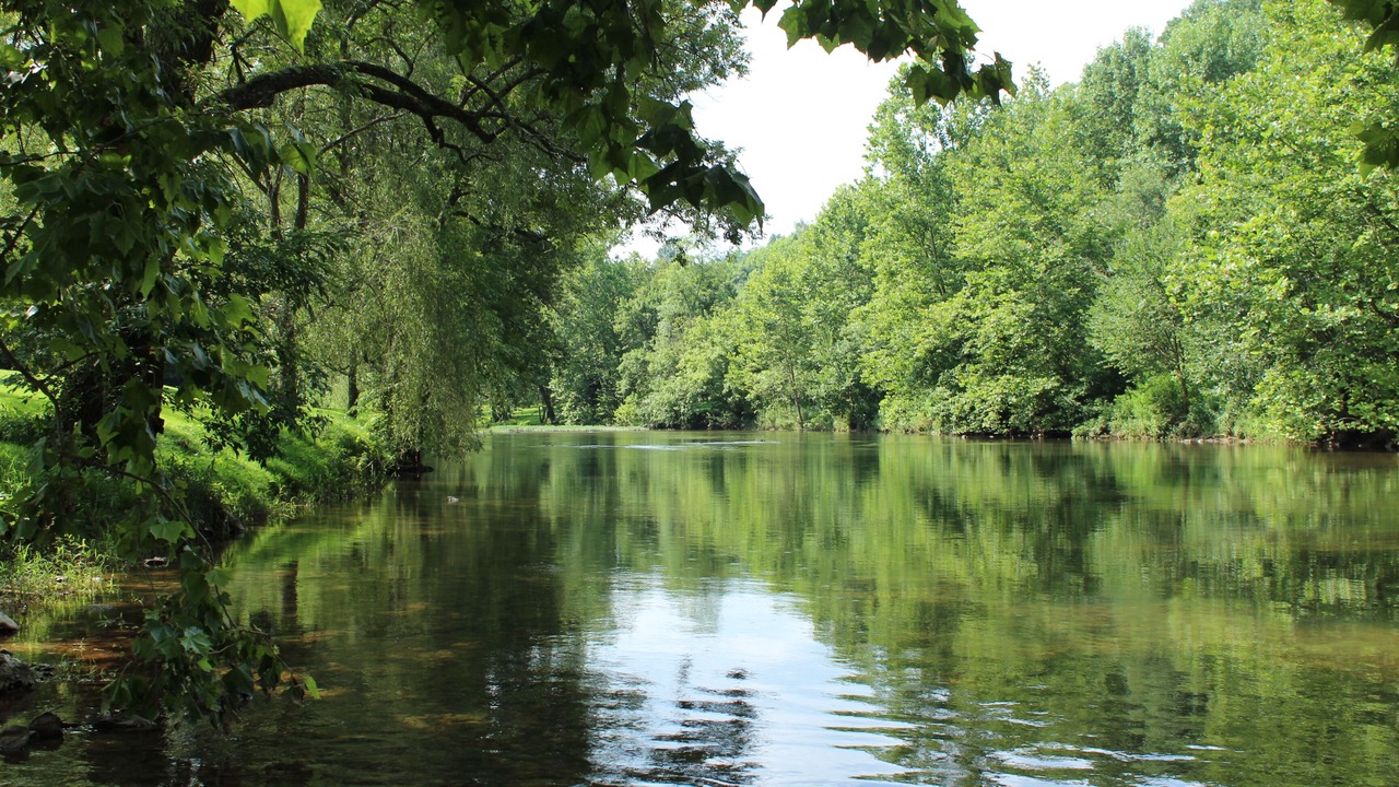 Photo of Others in Pearisburg