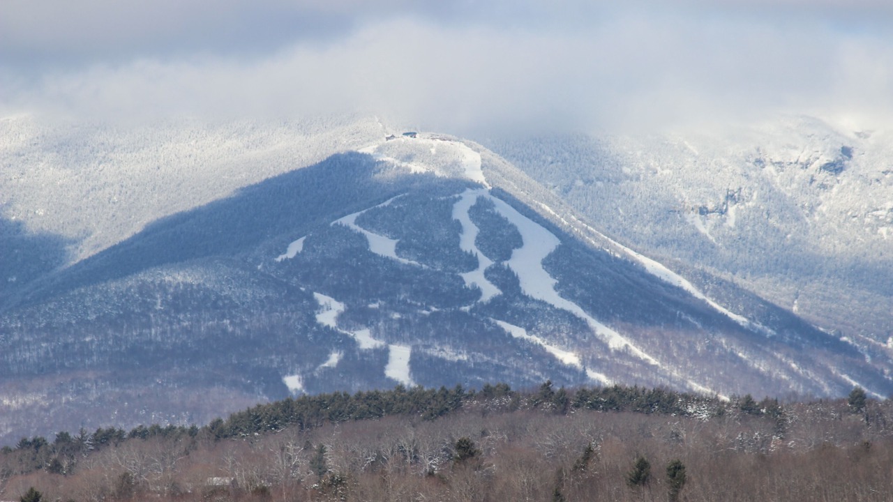 Photo of Others in Stowe