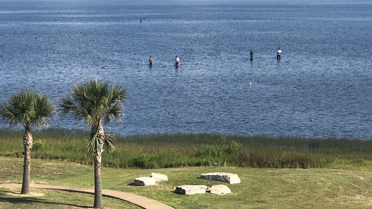 Photo of Others in Galveston