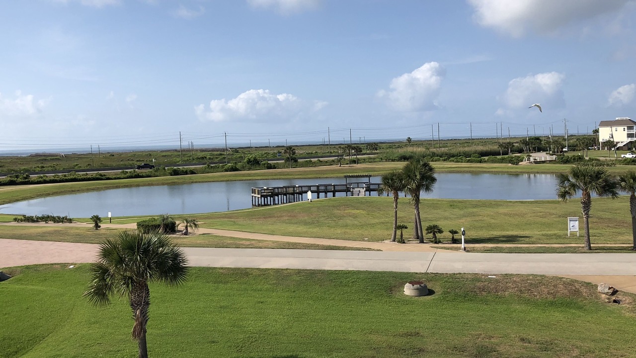 Photo of Others in Galveston