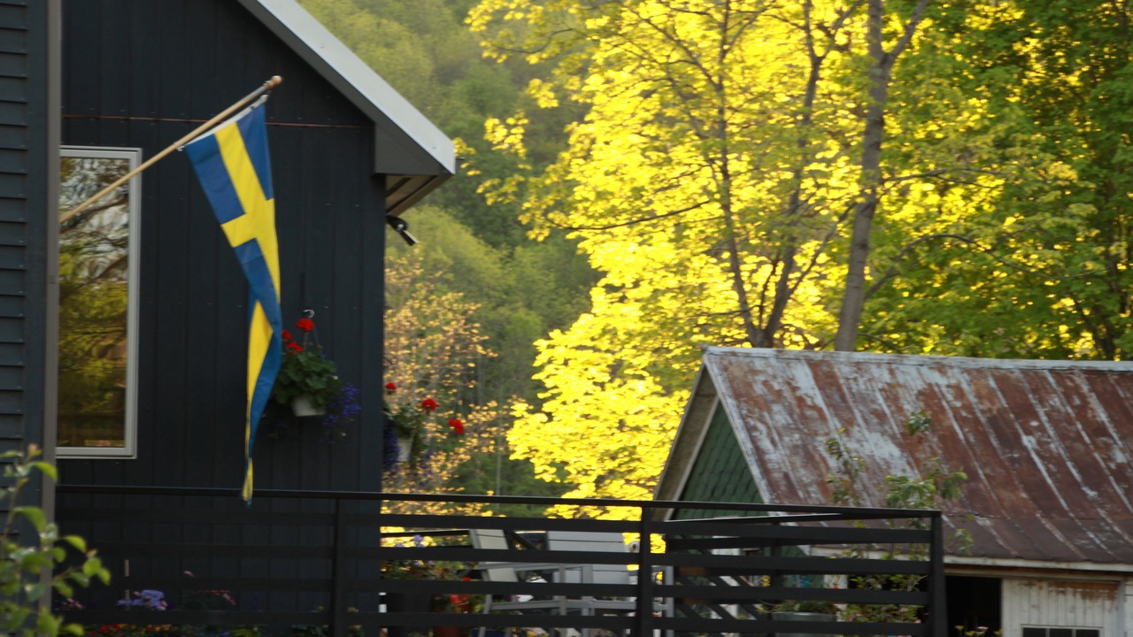 Photo of Outdoor in Fly Creek