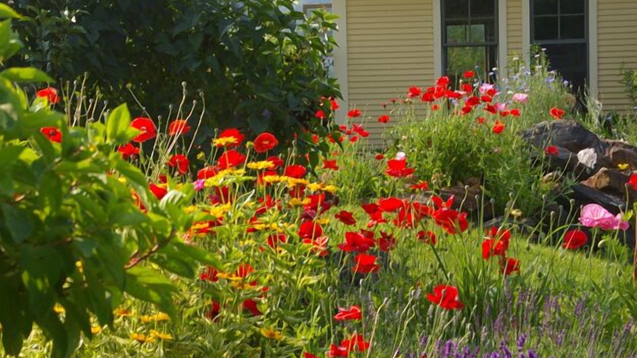 Photo of Outdoor in Lyndon Center