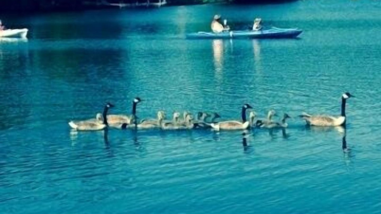Photo of Others in Lyndon Center