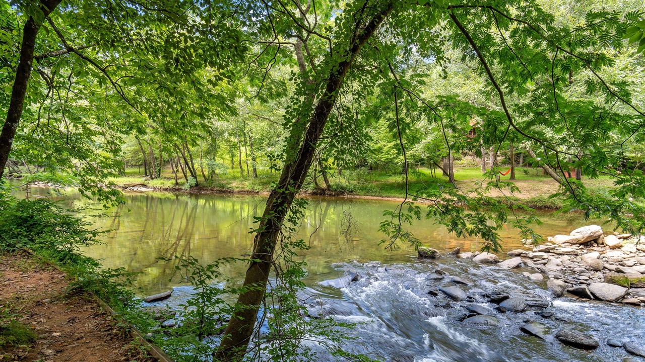 Photo of Others in Lake Lure