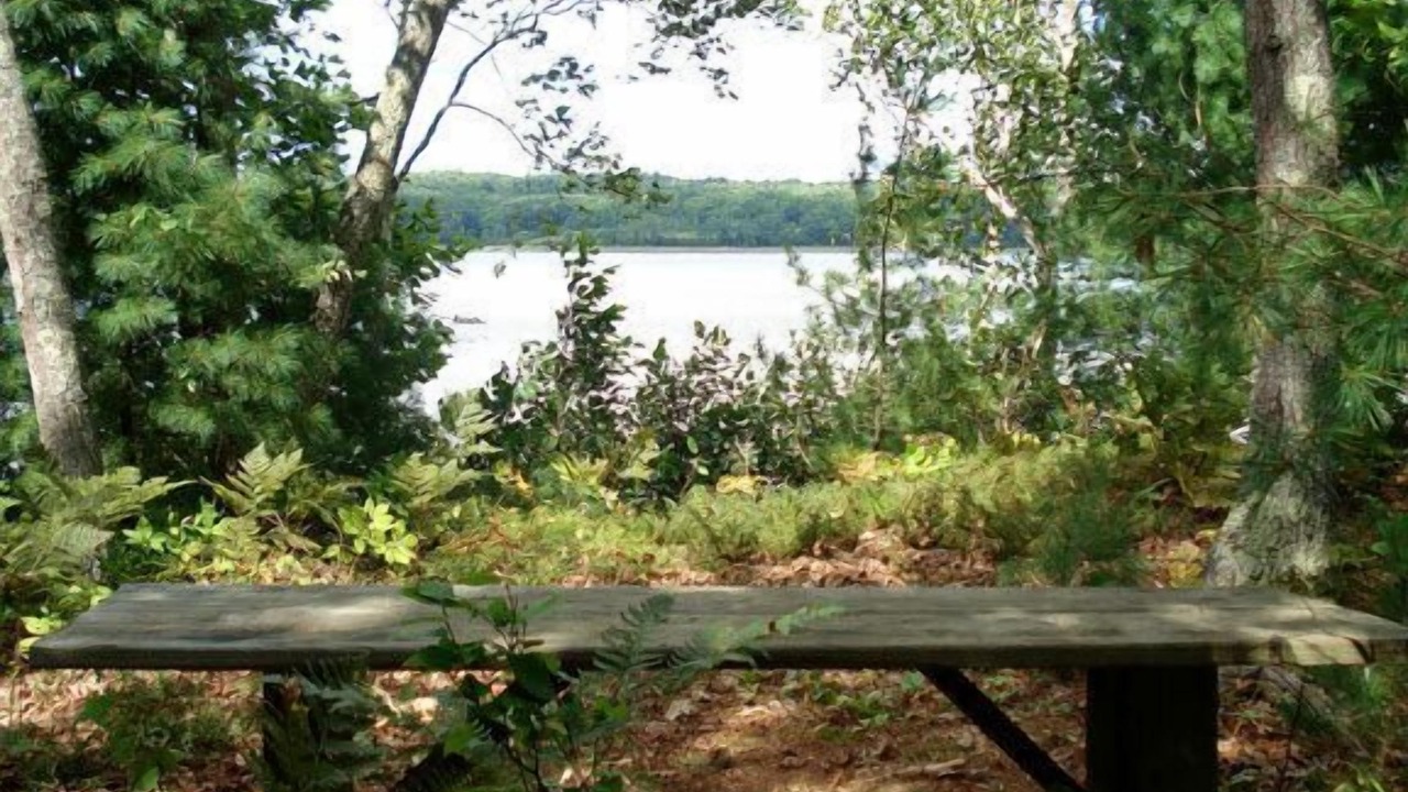 Photo of Others in Waldoboro