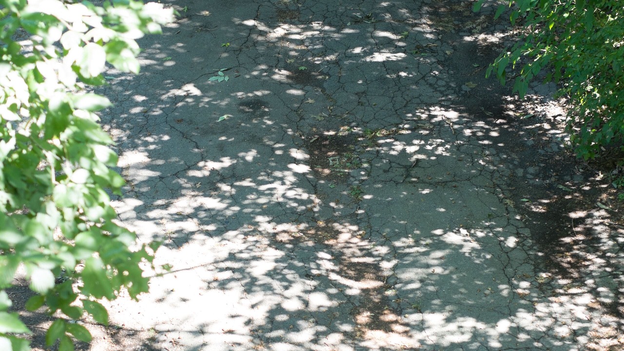 Photo of Others in West Cambridge