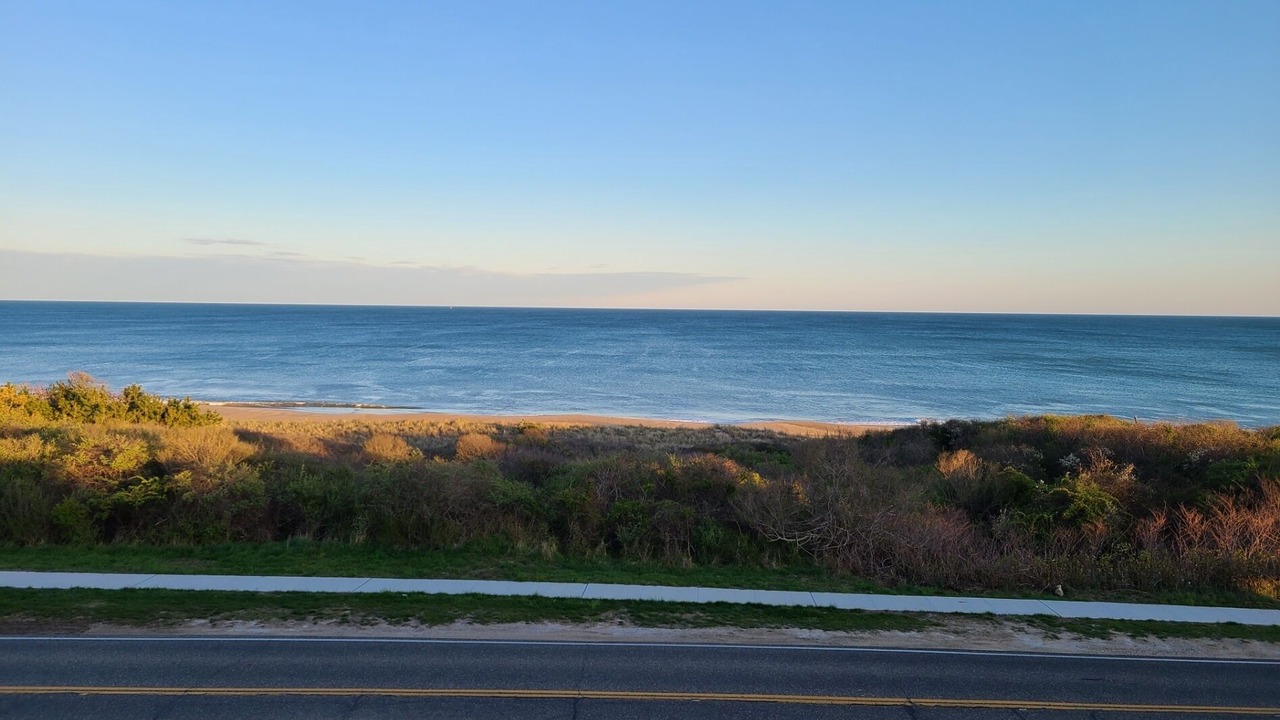 Photo of Others in Montauk