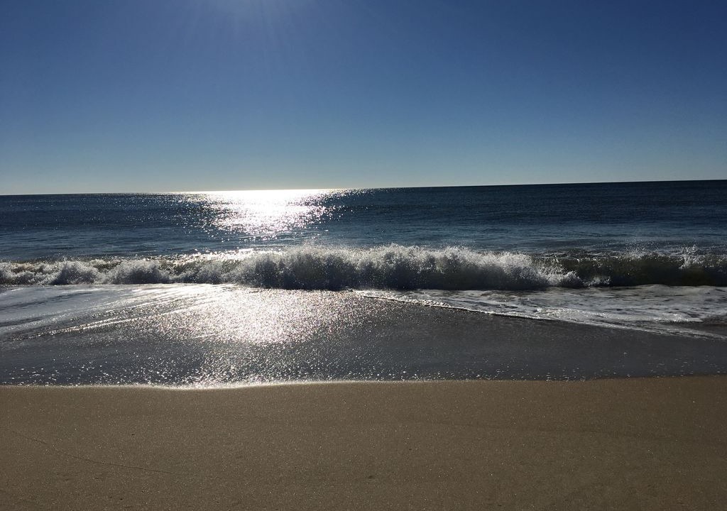 Photo of Others in Montauk