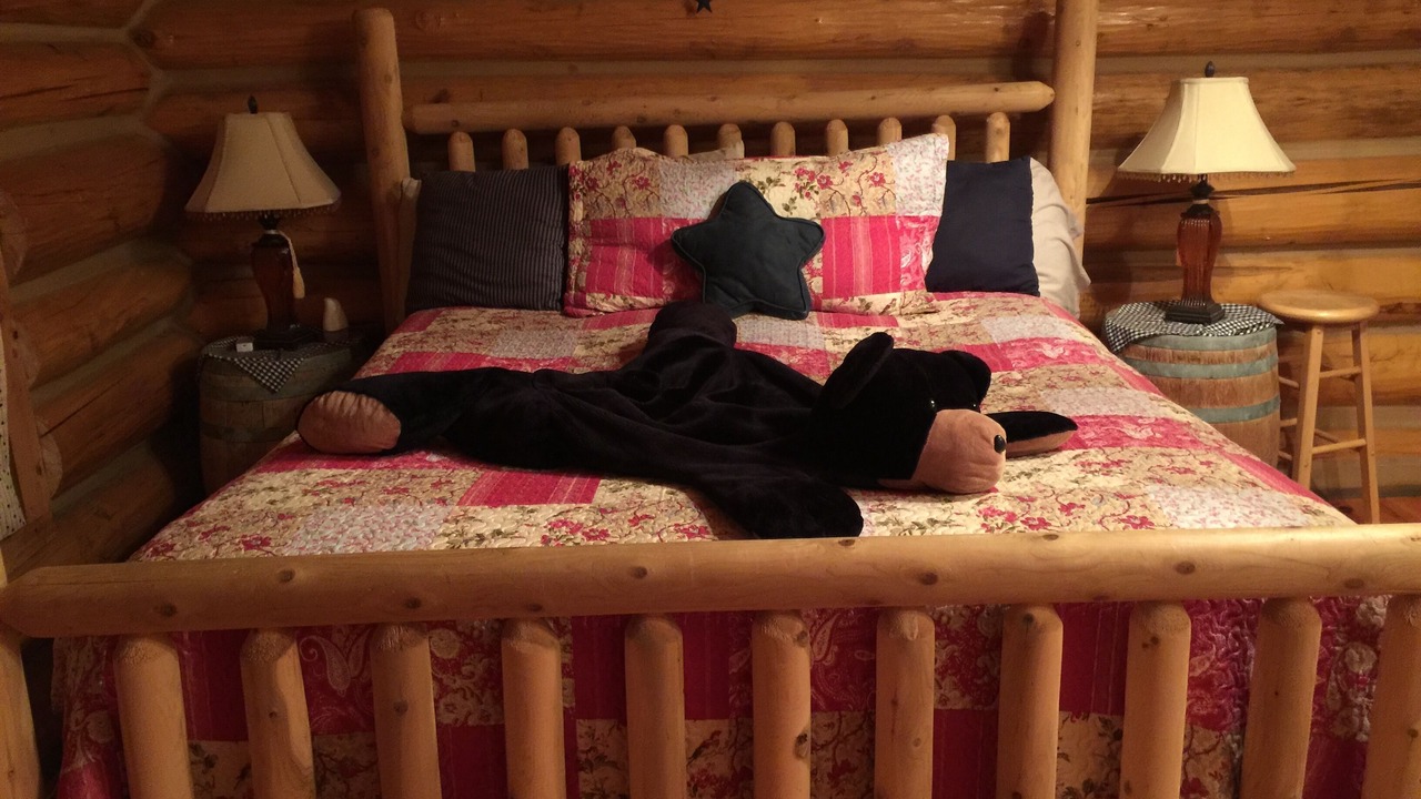Photo of Bedroom in Green Mountain