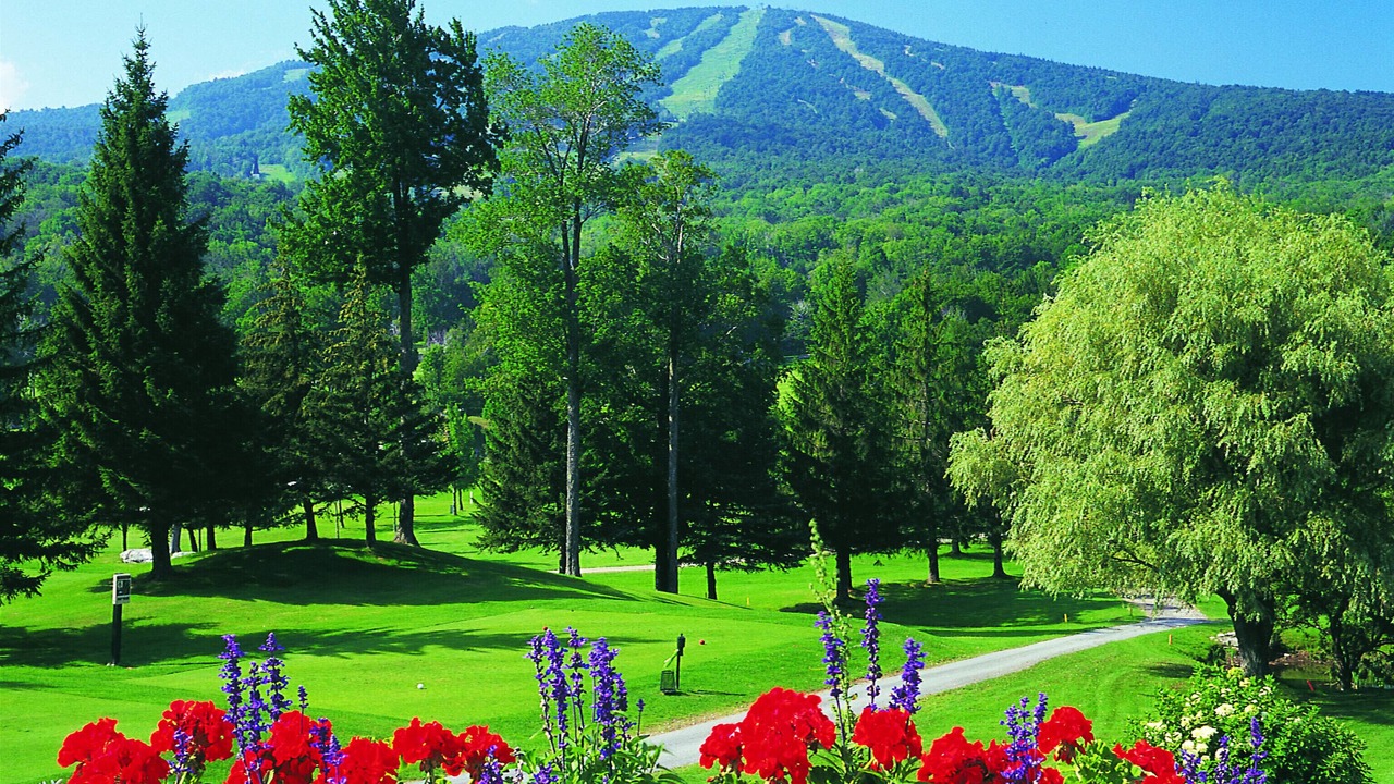 Photo of Others in Stratton Mountain