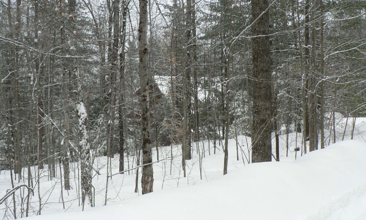 Photo of Others in Johnsburg