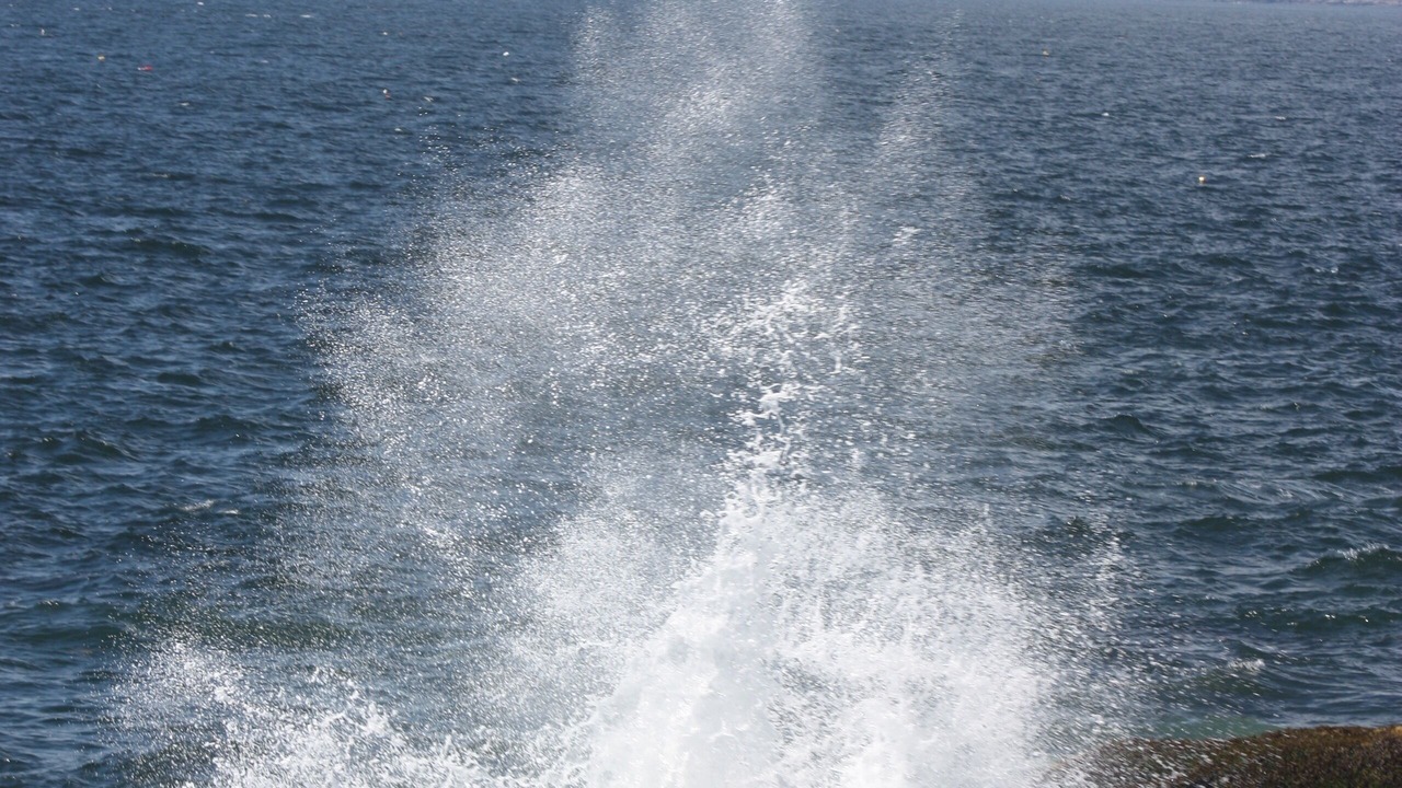 Photo of Others in Winter Harbor