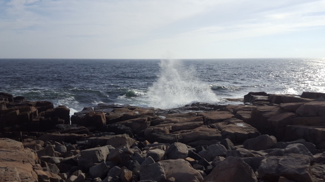 Photo of Others in Winter Harbor