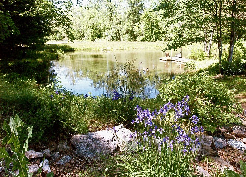 Photo of Outdoor in Warrenton