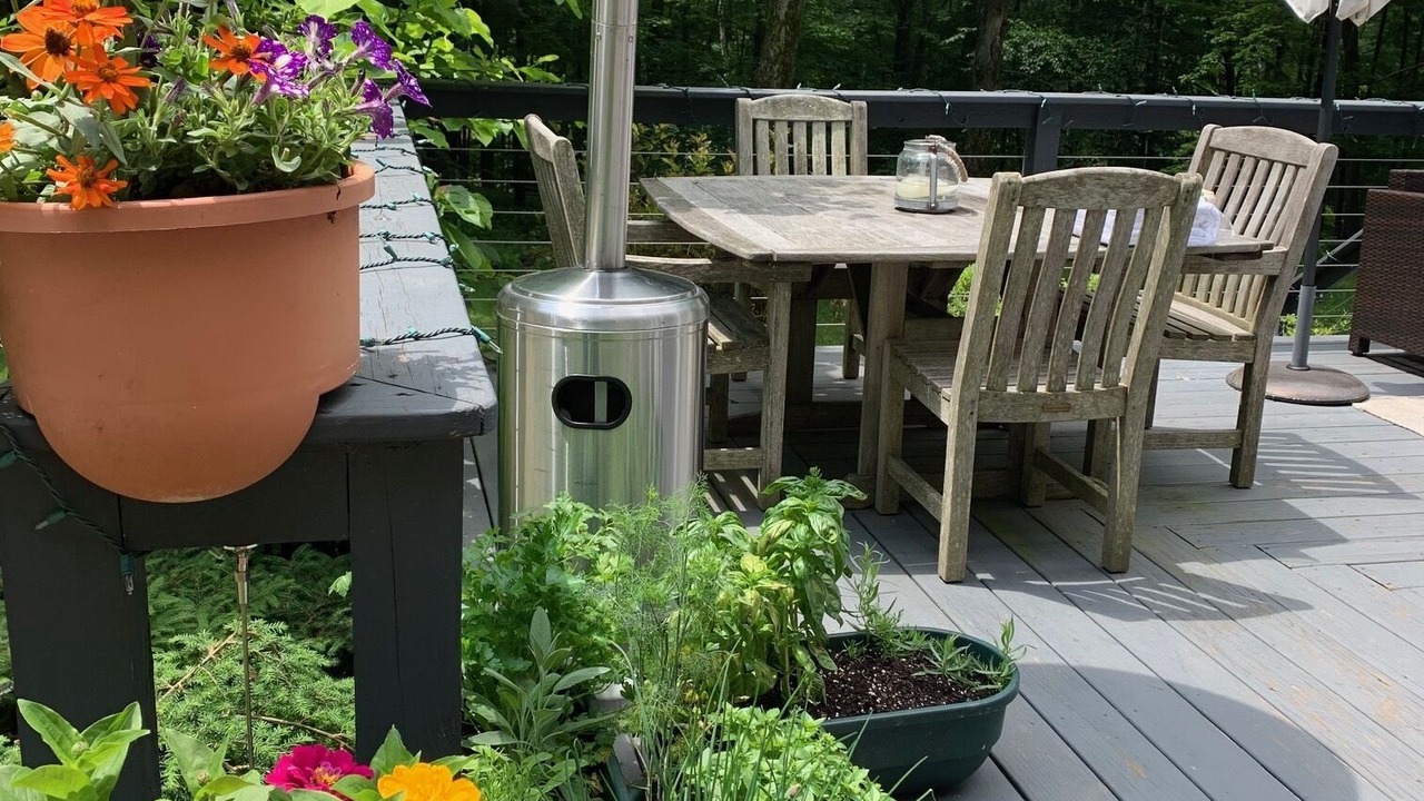 Photo of Outdoor in Williamstown