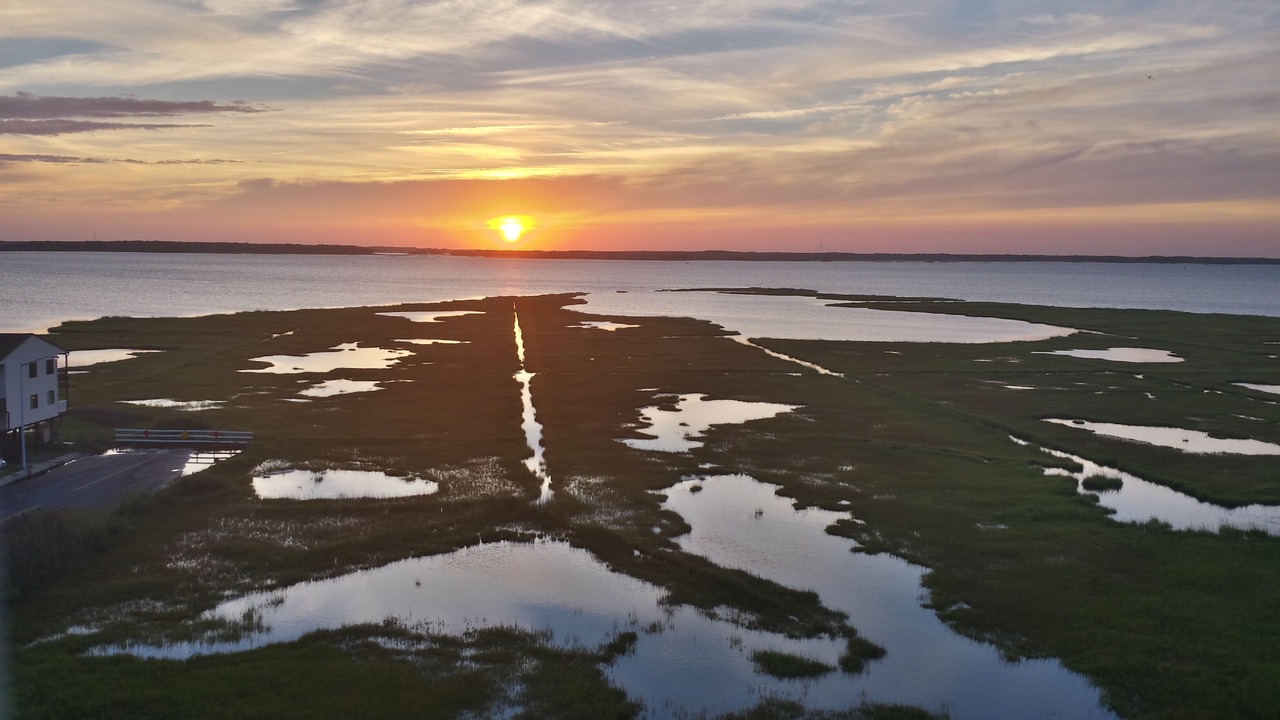 Photo of Others in Midtown Ocean City