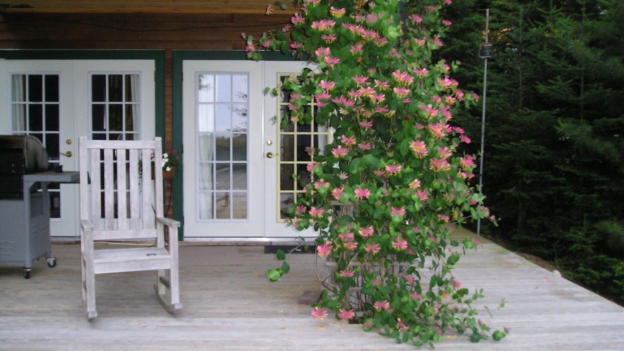 Photo of Others in Gouldsboro
