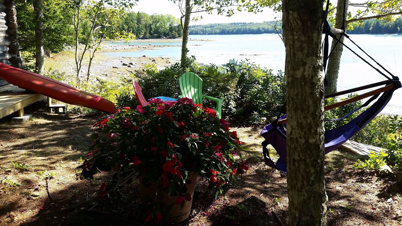 Photo of Others in Gouldsboro