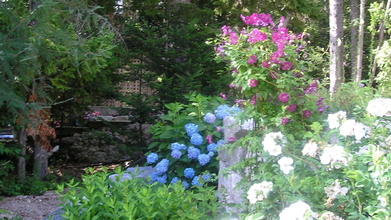 Photo of Others in Gouldsboro