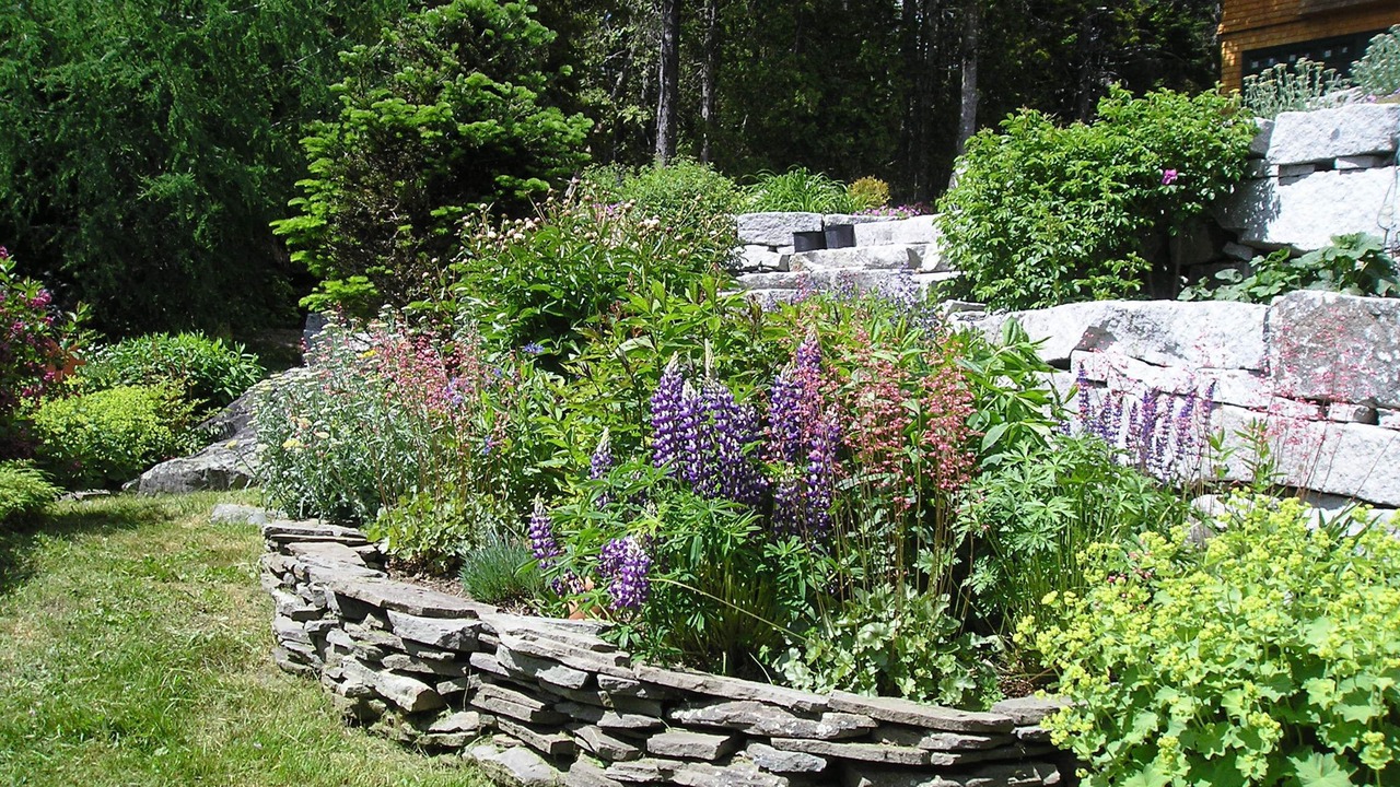 Photo of Outdoor in Gouldsboro