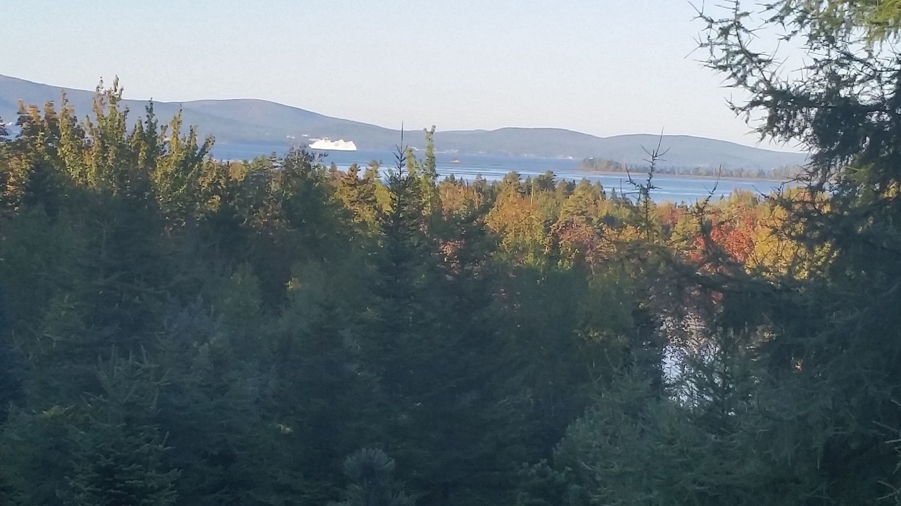 Photo of Others in Gouldsboro