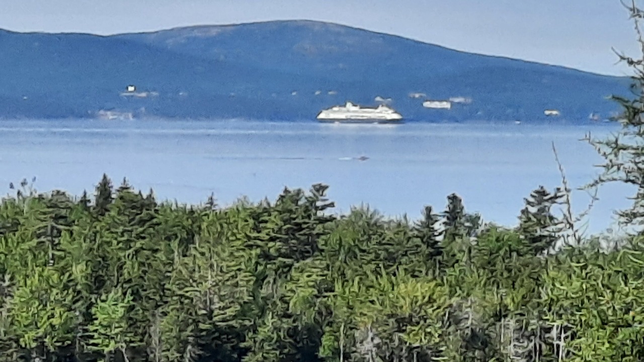 Photo of Others in Gouldsboro