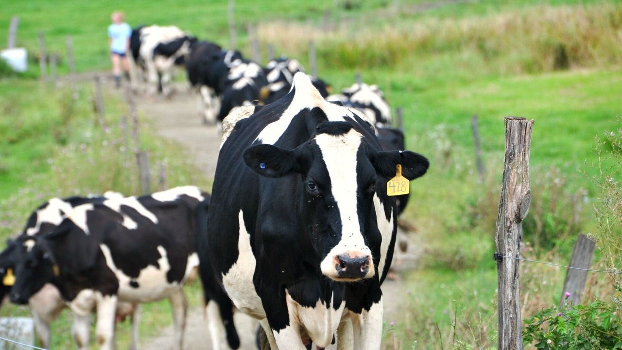 Photo of Others in Wells