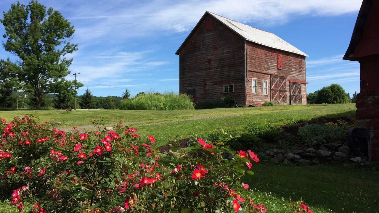 Photo of Others in Town of Marbletown