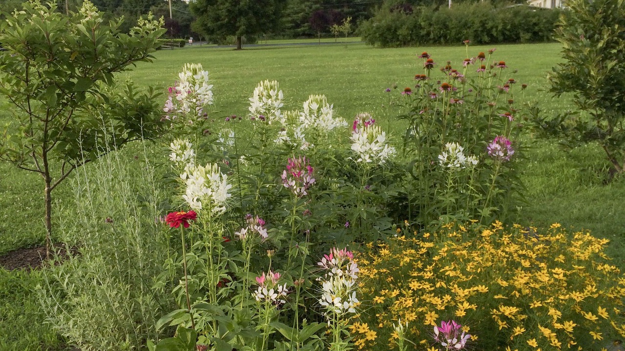 Photo of Outdoor in Town of Marbletown