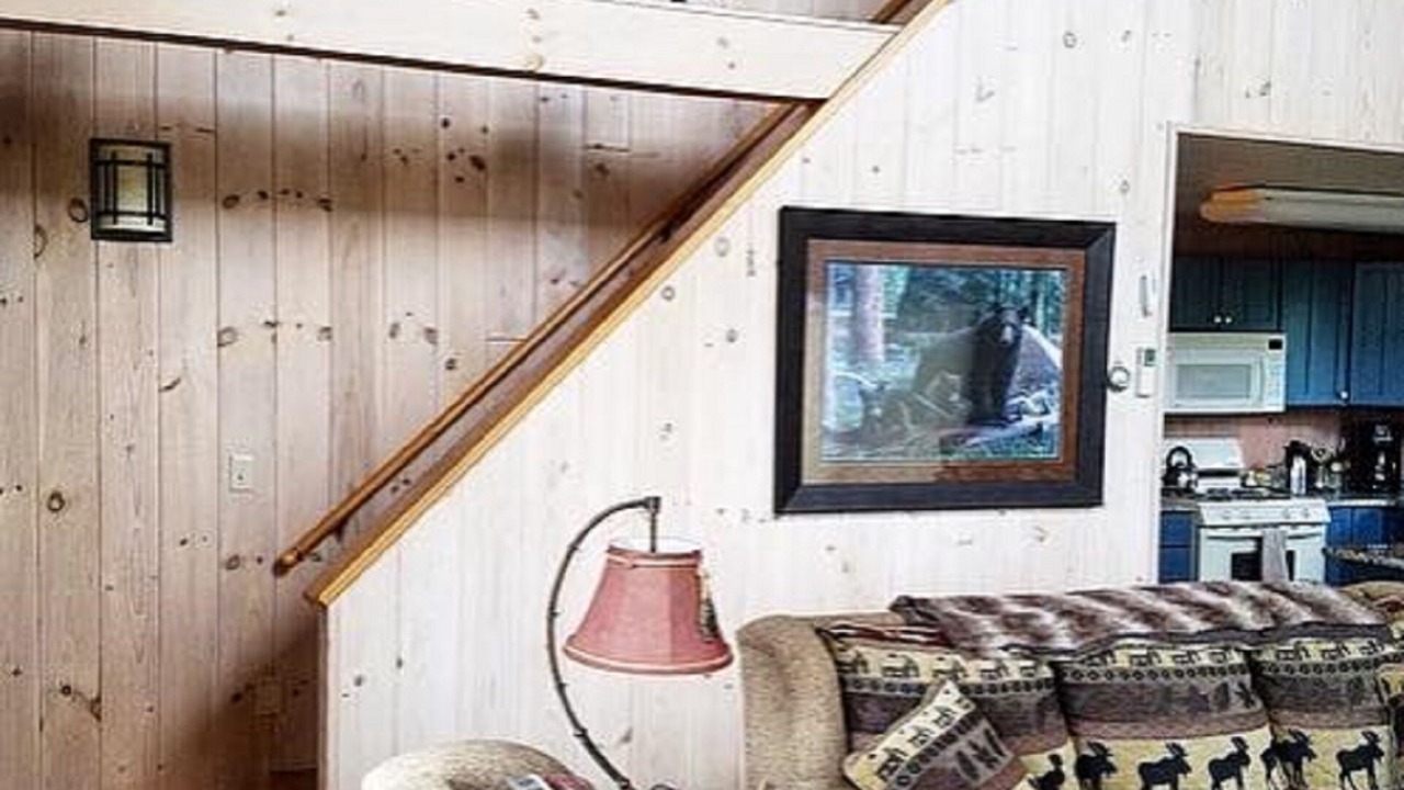 Photo of Livingroom in Madison
