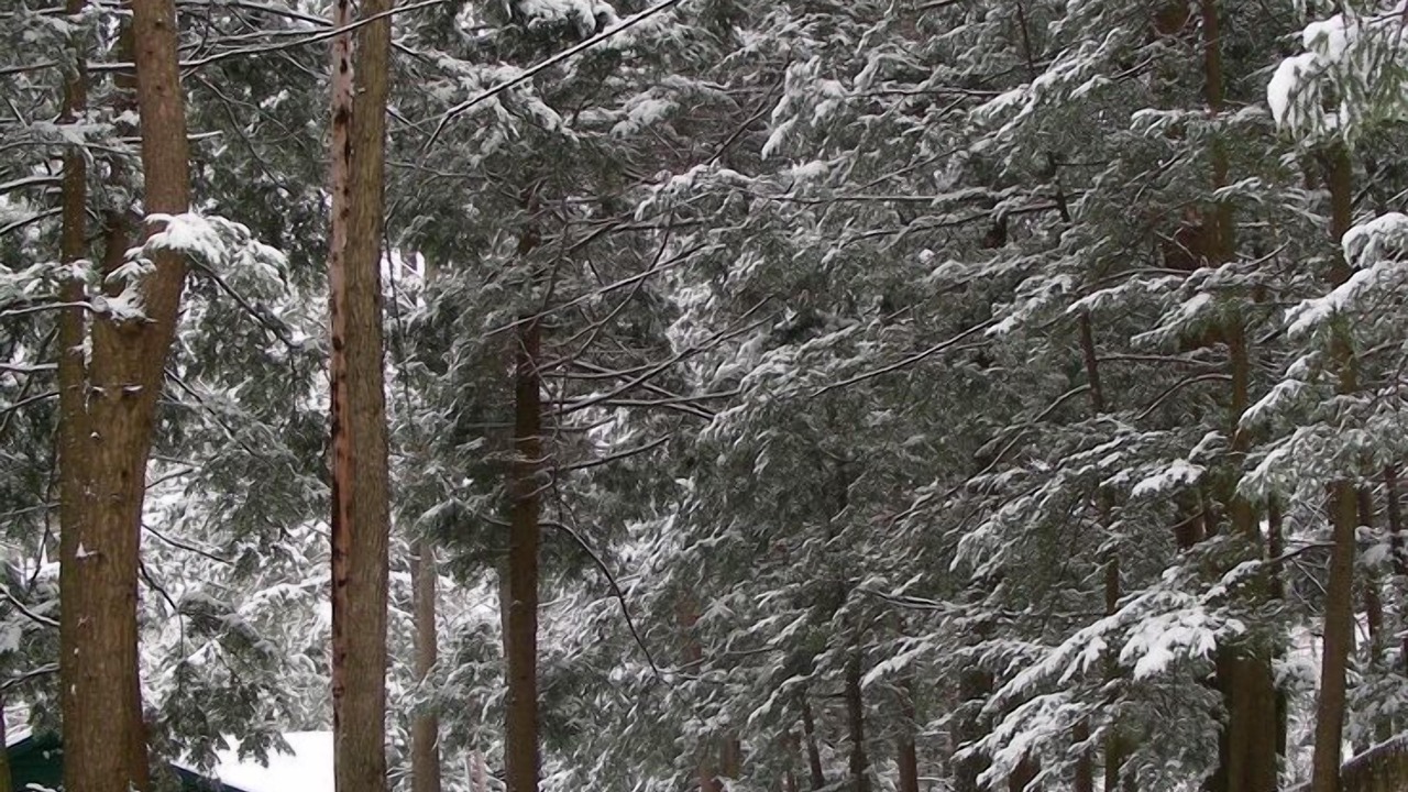 Photo of Outdoor in Poultney