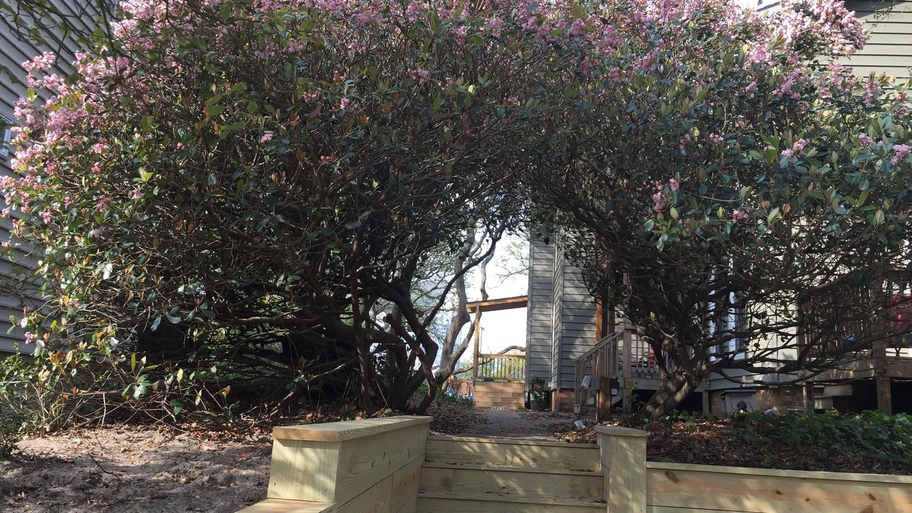 Photo of Outdoor in Chic's Beach