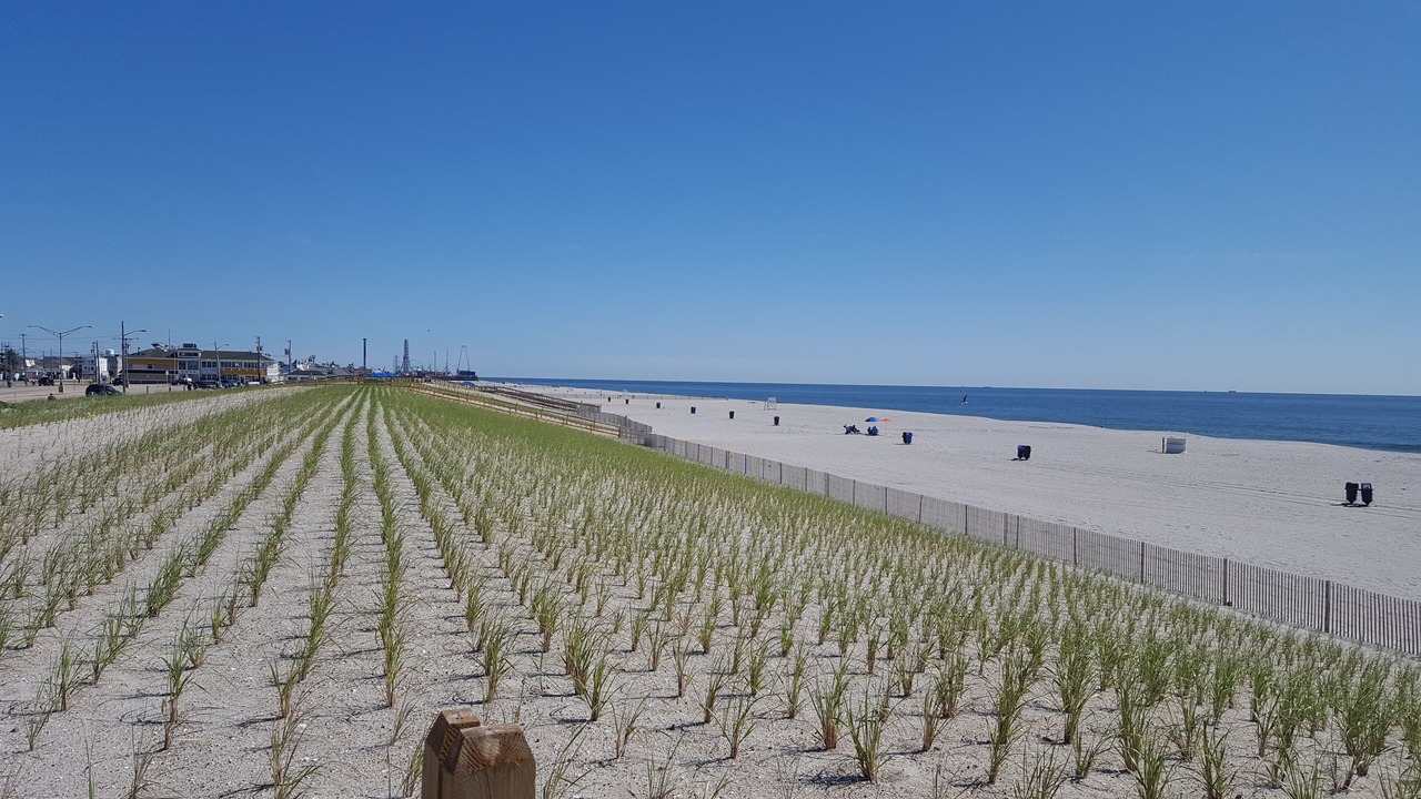 Photo of Others in Seaside Heights