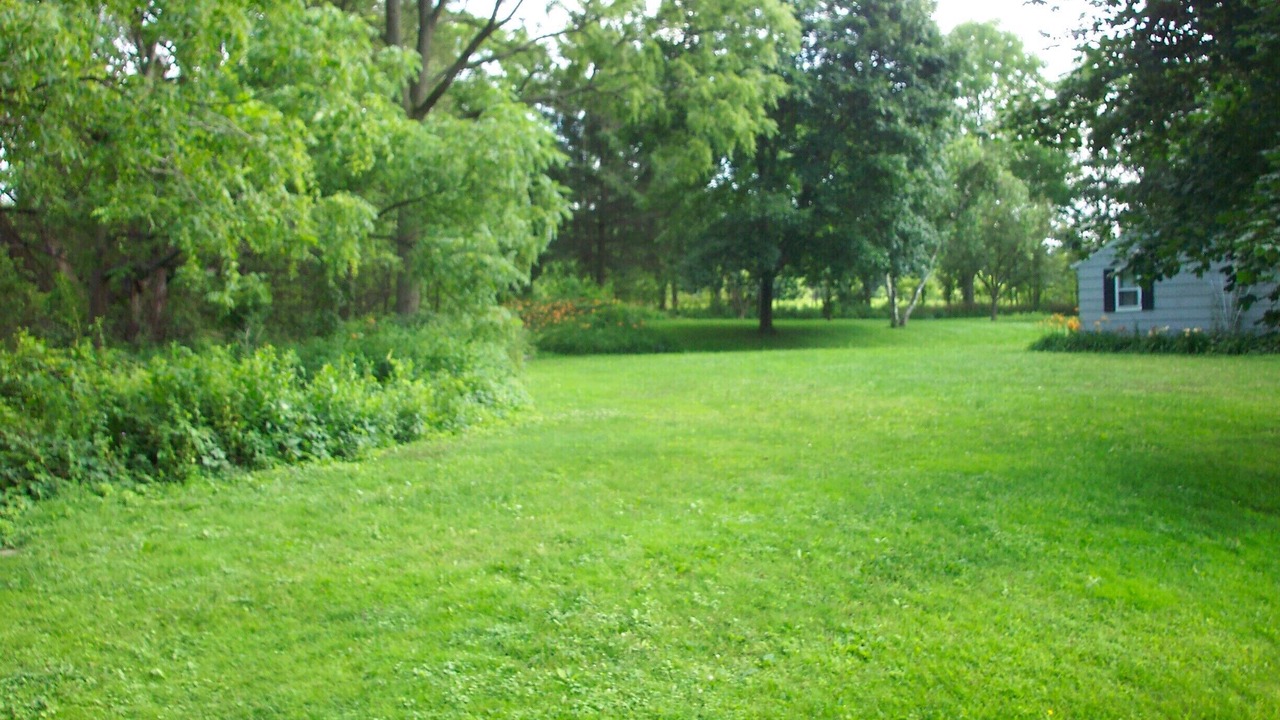 Photo of Outdoor in Trumansburg