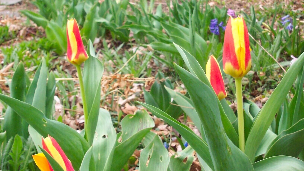 Photo of Outdoor in Trumansburg