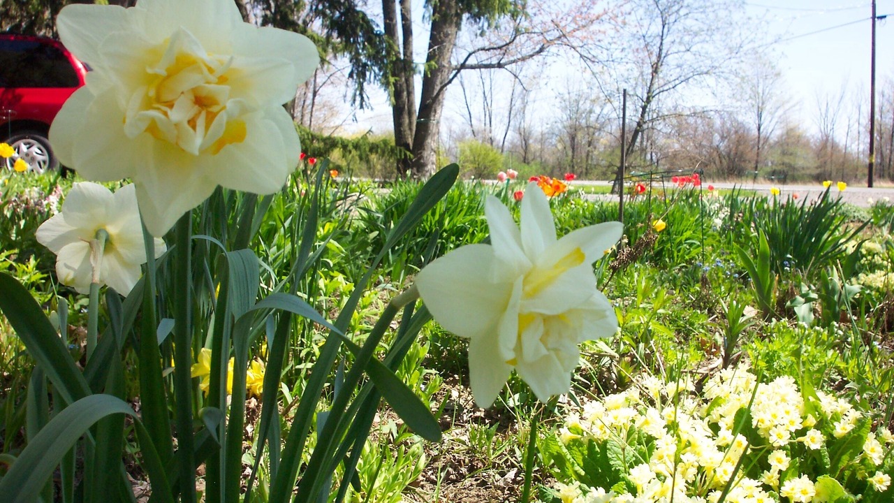 Photo of Outdoor in Trumansburg