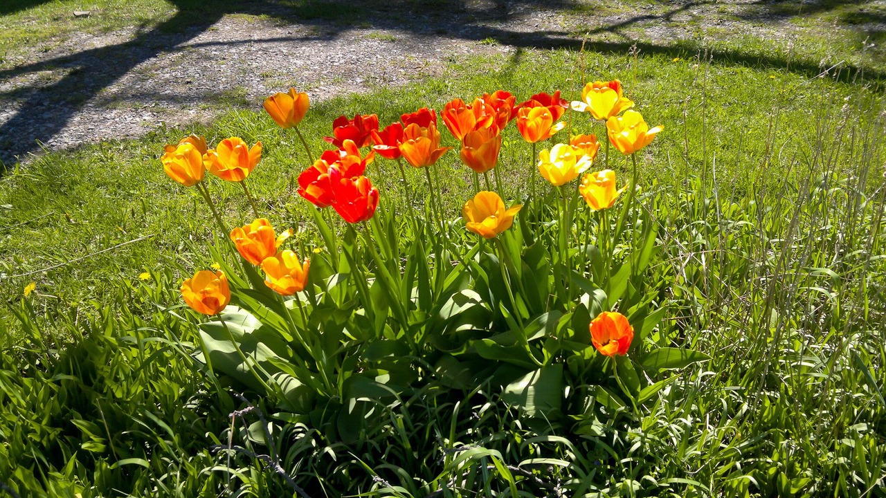 Photo of Outdoor in Trumansburg