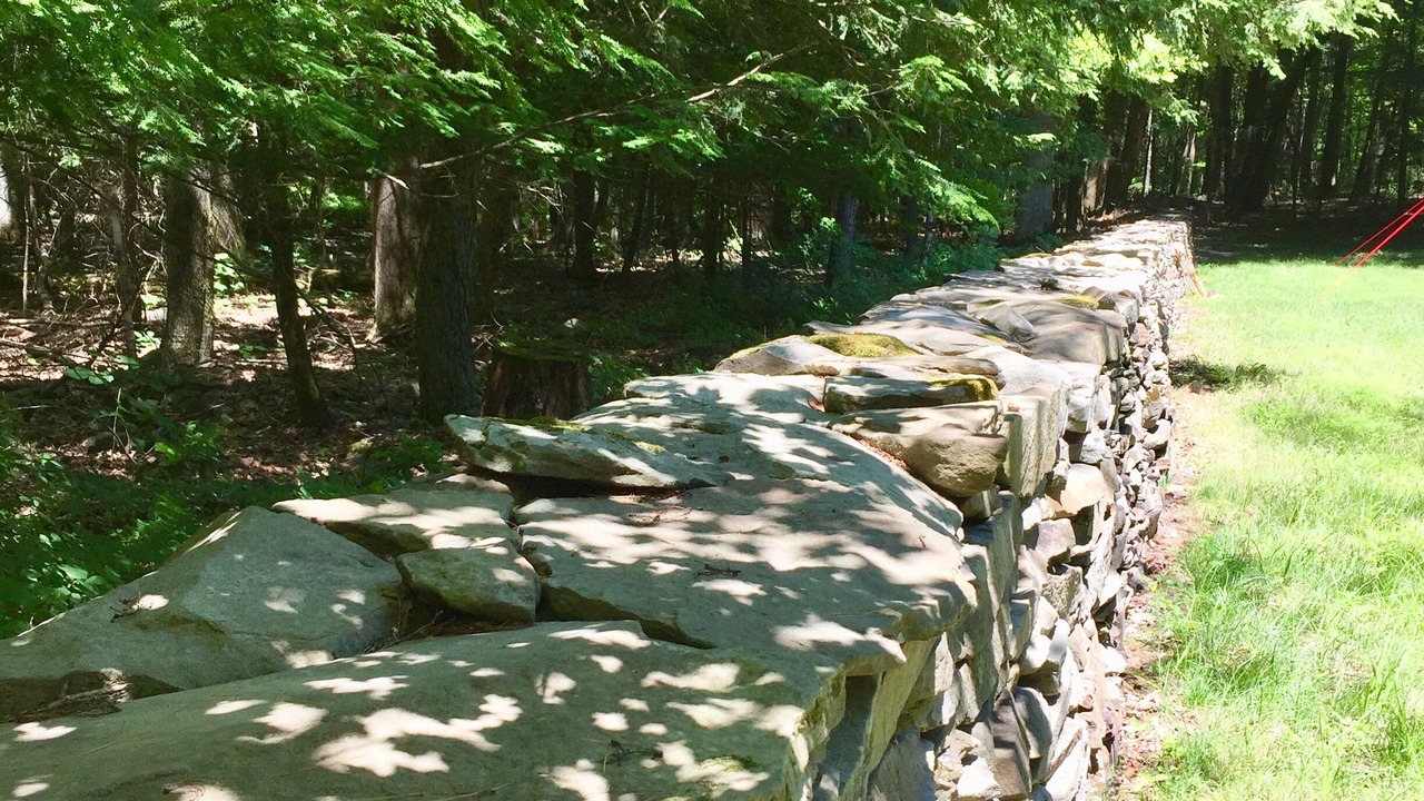 Photo of Others in Saugerties