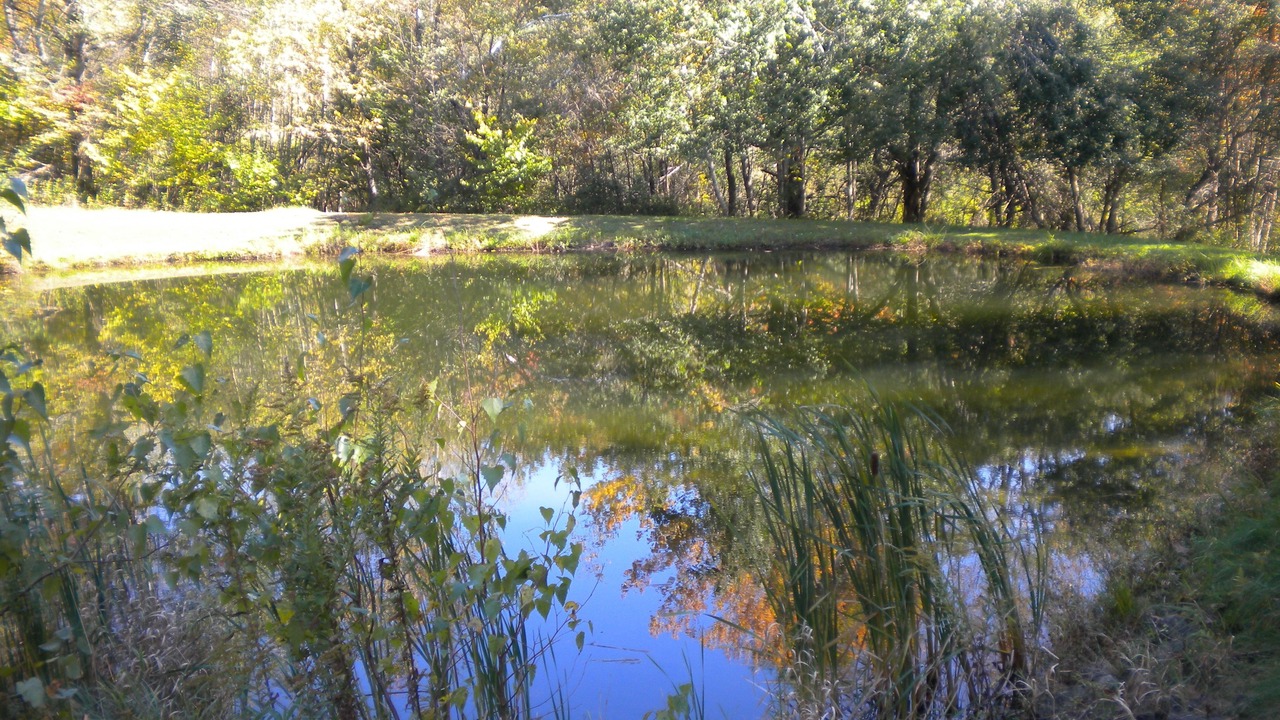 Photo of Outdoor in Hillsdale