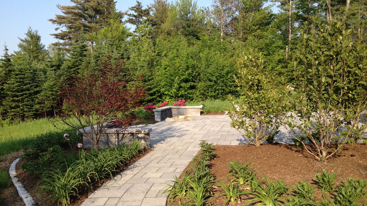 Photo of Outdoor in Elkins
