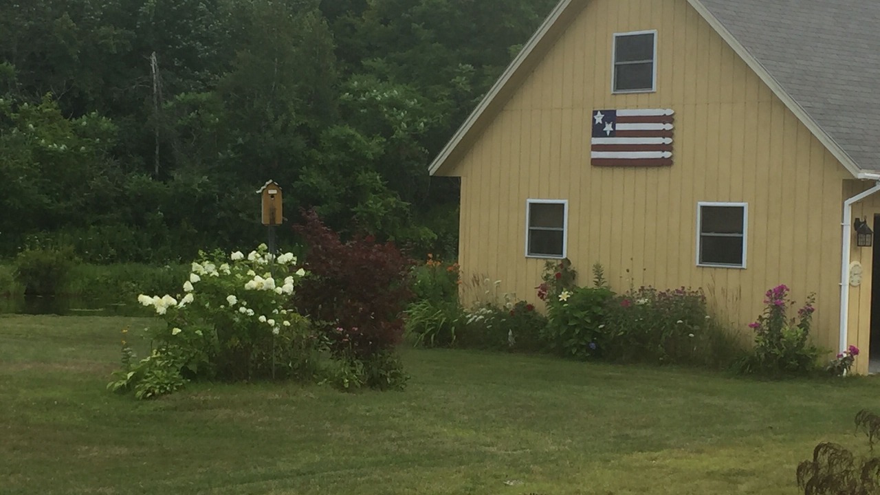 Photo of Outdoor in Forest Dale