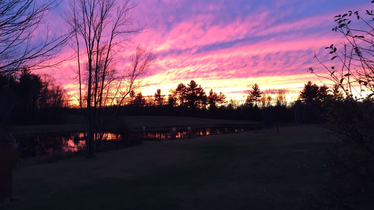 Photo of Outdoor in Forest Dale