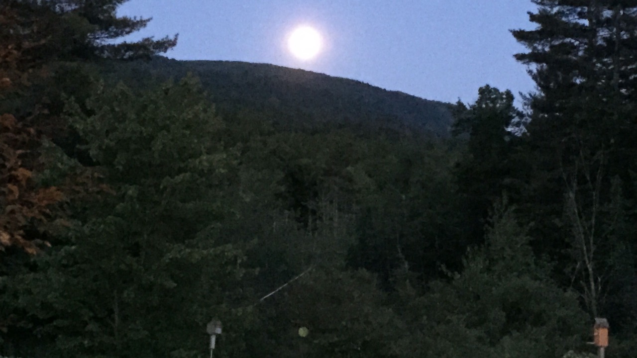 Photo of Outdoor in Forest Dale