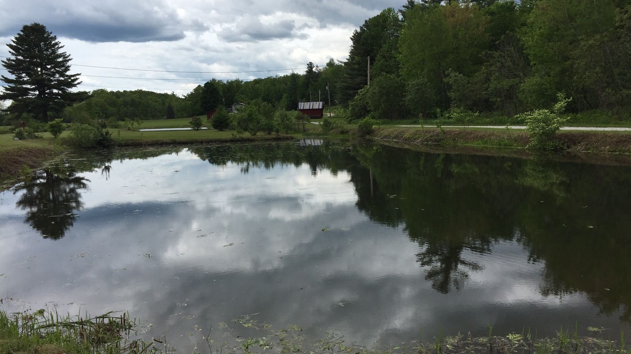 Photo of Outdoor in Forest Dale