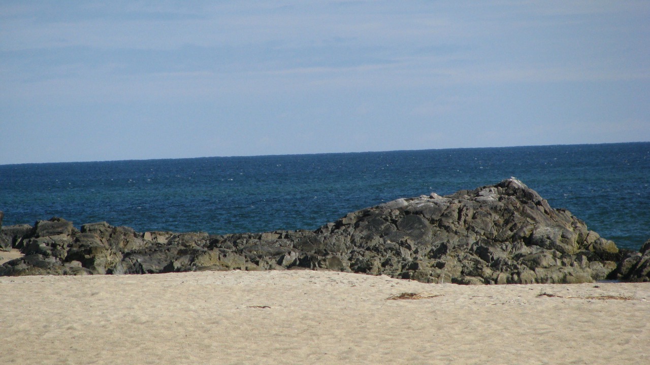 Photo of Others in Seabrook