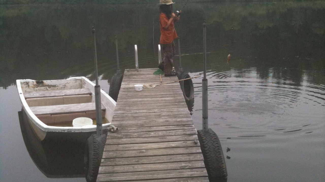 Photo of Others in Findley Lake