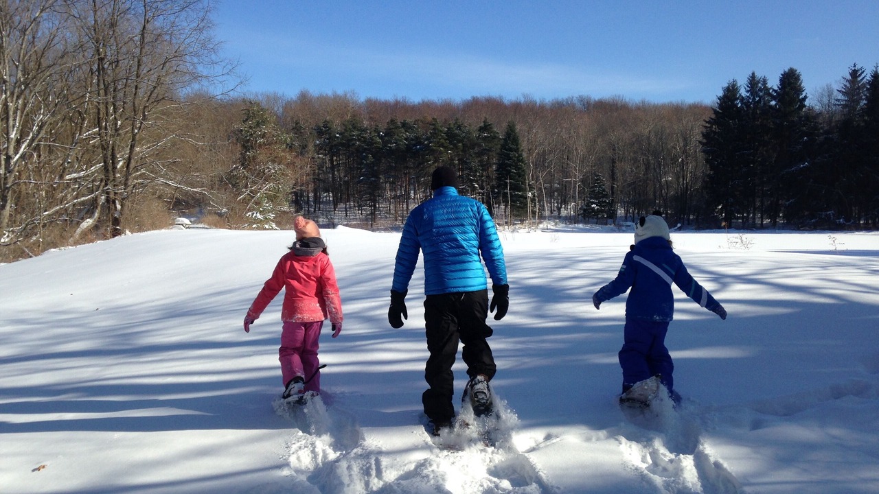 Photo of Others in Findley Lake